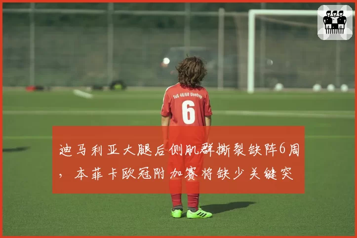 迪马利亚大腿后侧肌群撕裂缺阵6周,本菲卡欧冠附加赛将缺少关键突击点