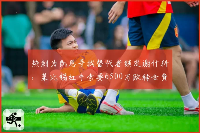 热刺为凯恩寻找替代者锁定谢什科，莱比锡红牛索要6500万欧转会费